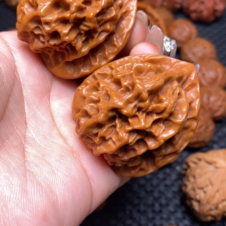 秦岭野生0000000069