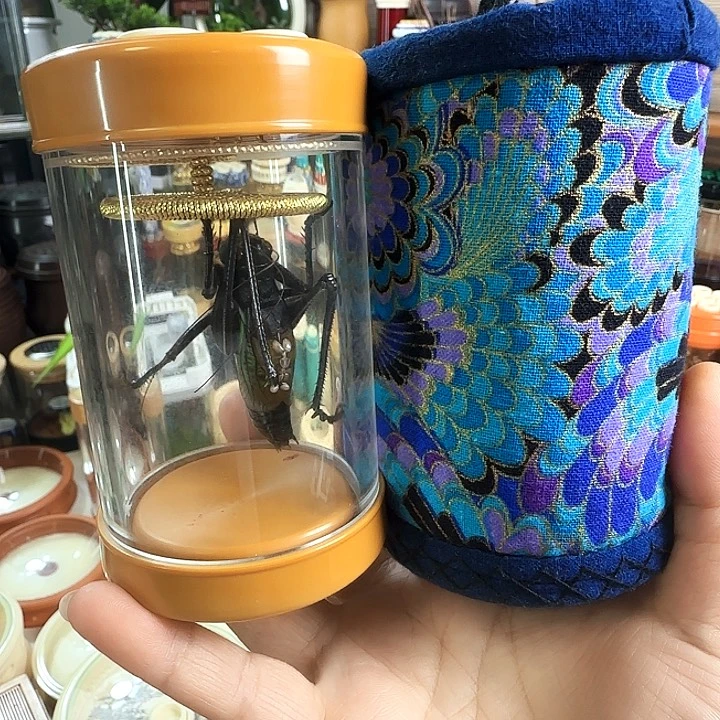 黄色60蝈蝈套啊啊啊啊啊