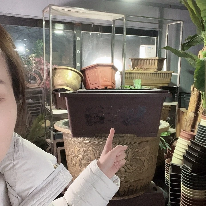 60盆景盆2个89元包邮