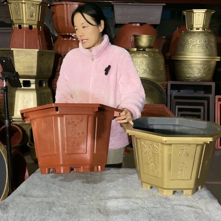 八角红色六零两个