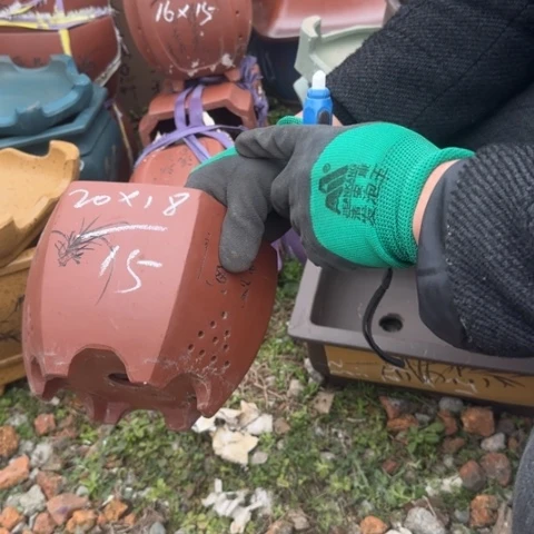 紫砂花盆紫砂花盆盆景盆栽