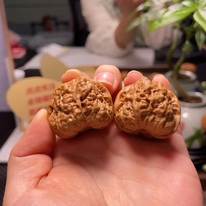 文玩核桃把件蛤蟆闪14