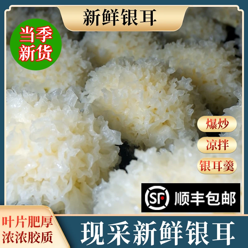【顺丰包邮】品质鲜银耳口感软糯白木耳现采农产品湿银耳达人专属