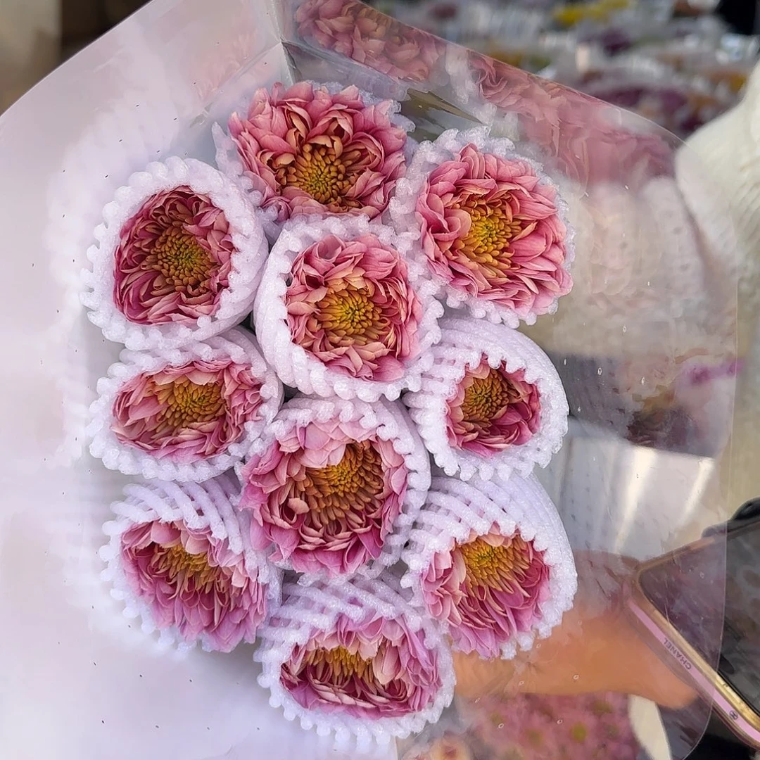 粉琉璃小菊不包邮