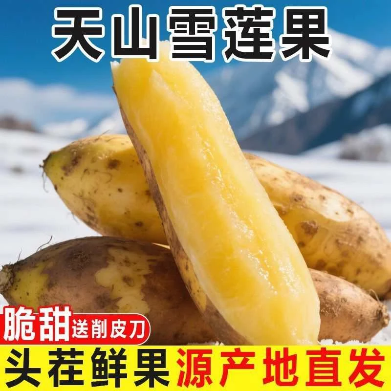 云南天山雪莲果红泥沙头茬孕妇水果碱性水果低糖水果新鲜水果