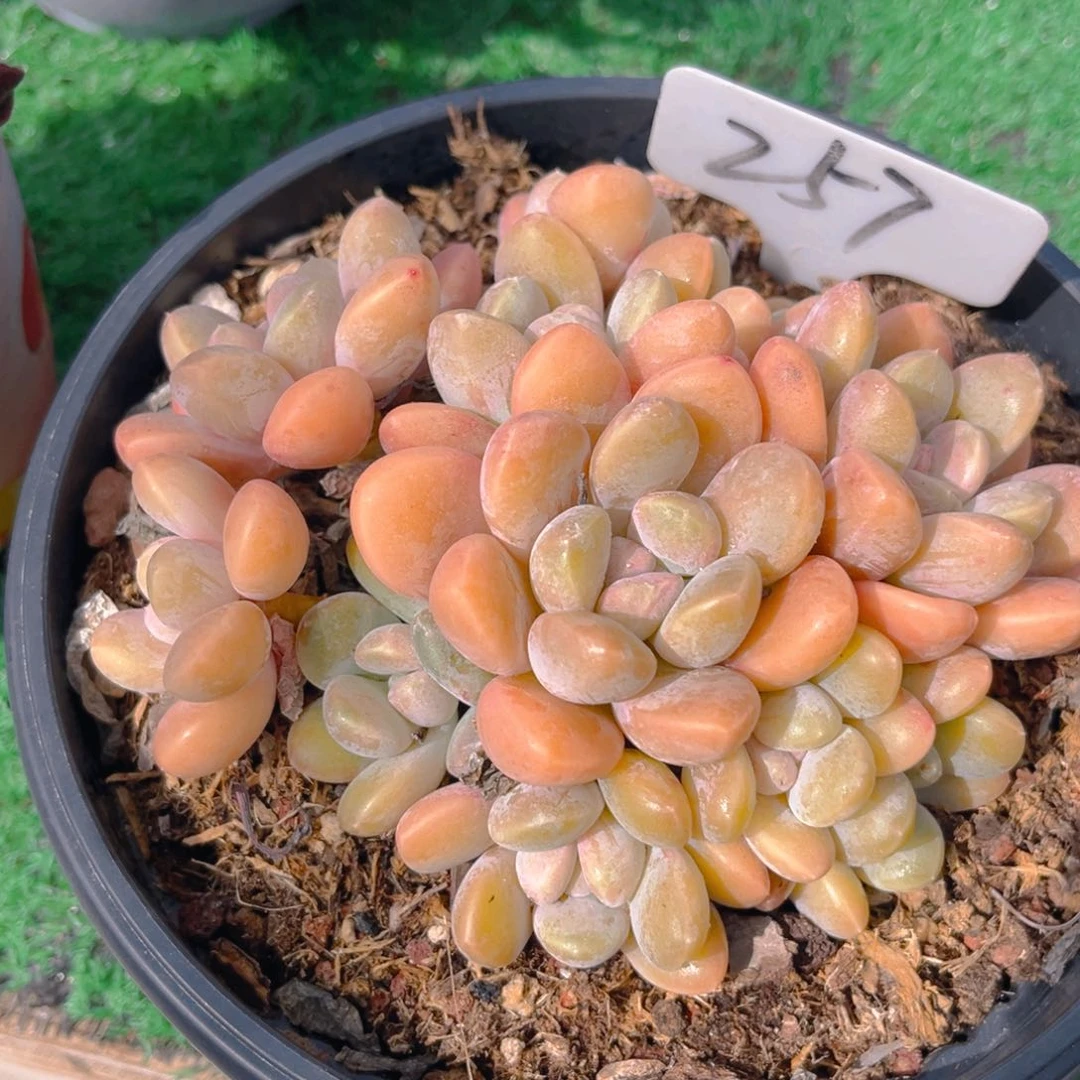 努****?257fghjjjjjjnn