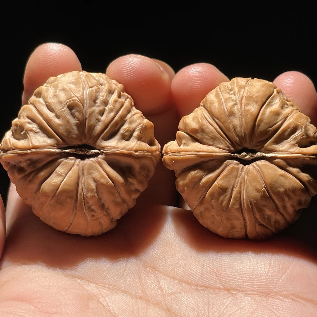 快递运费 请勿乱拍