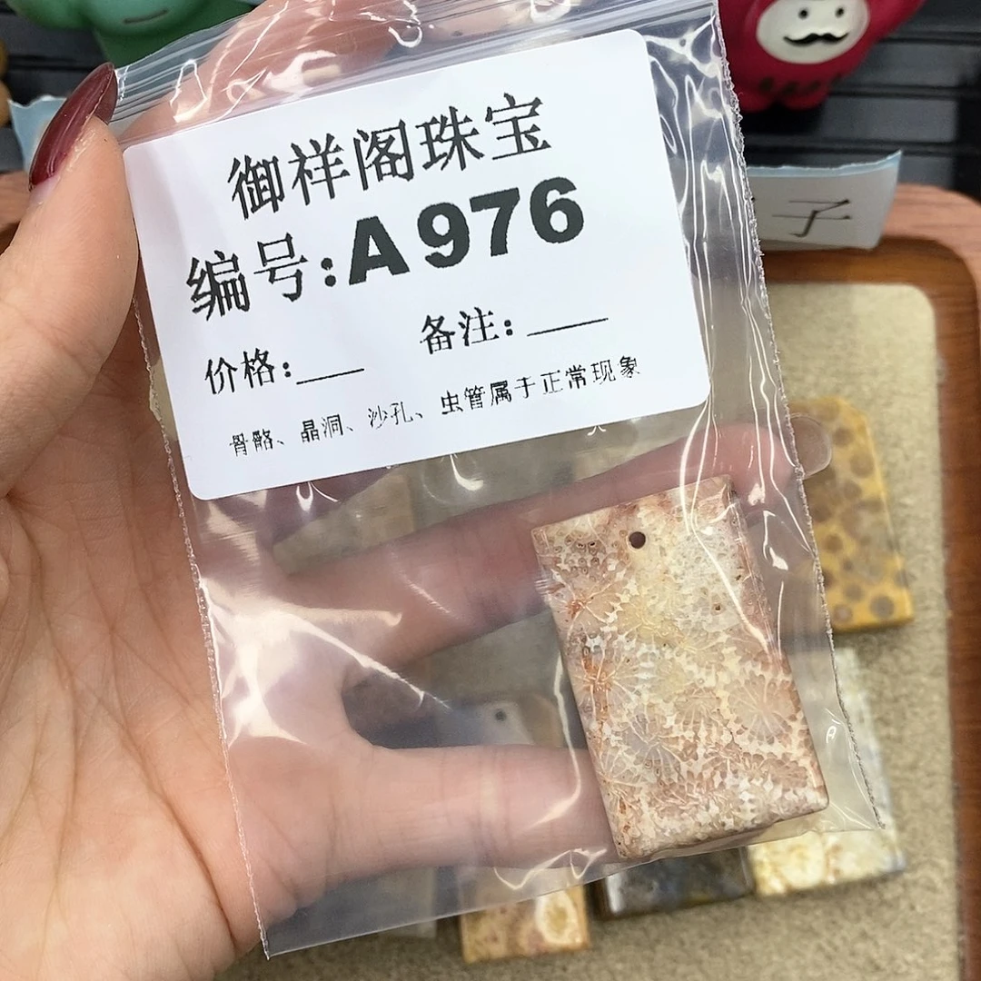 硅化珊瑚（珊瑚玉）A未镶嵌元*
