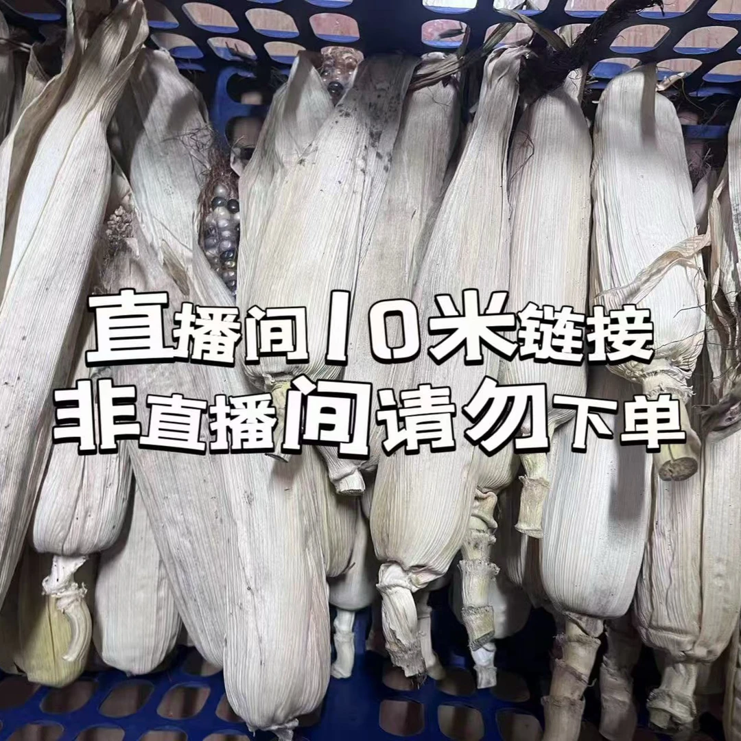 文玩玉米毛料一物一拍