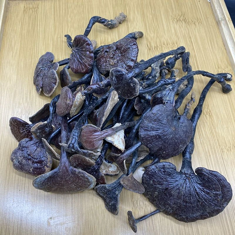 【助农山货】纯天然正宗云南野生竹灵芝干货泡酒煲汤泡水