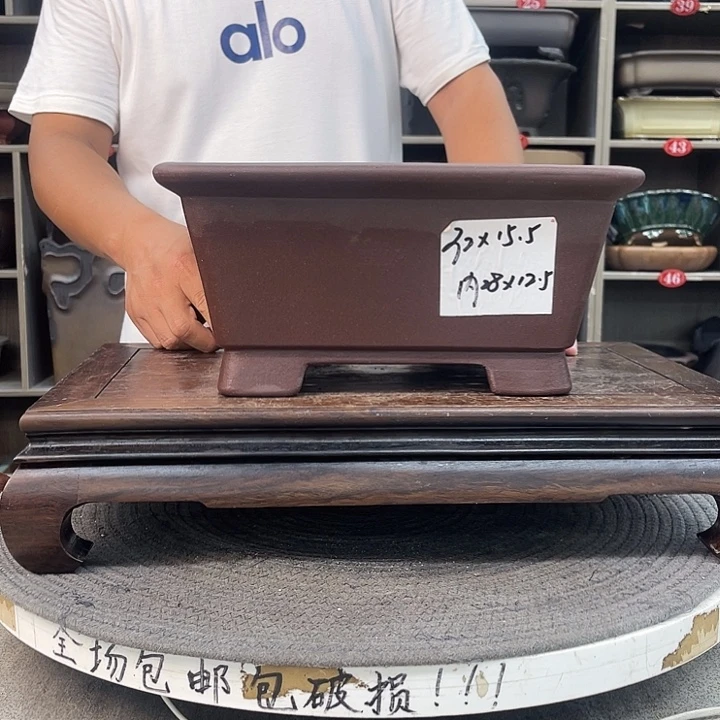 紫砂花盆我也不知道我为什么