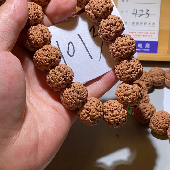 手串金刚菩提1013号尺寸21➕龙爪梅花定制
