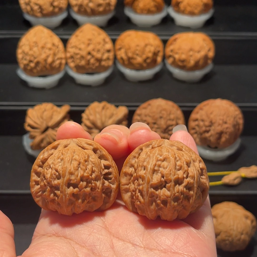 朗***天全品，精品，39白狮子180