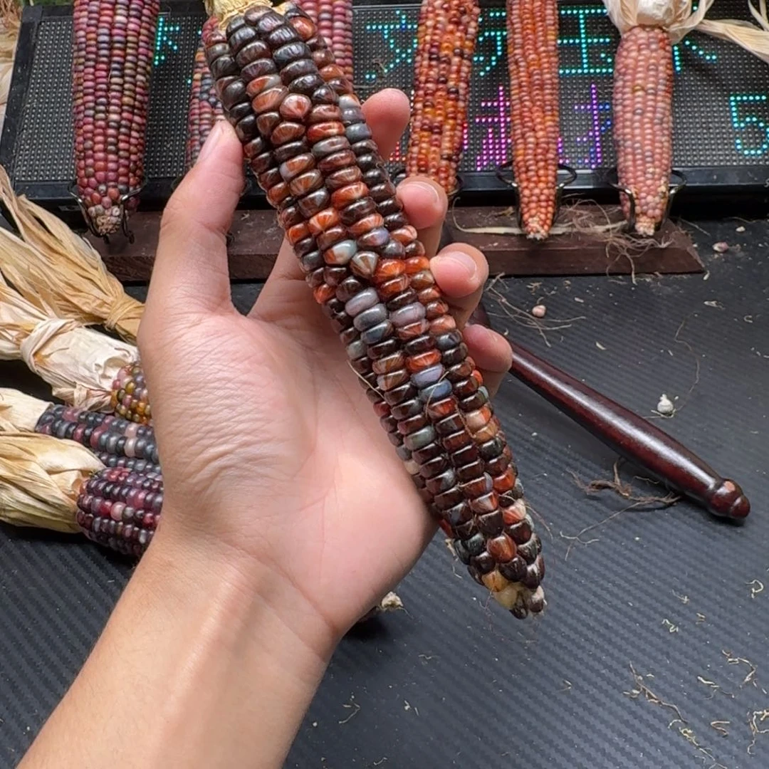 荼***白吊坠柏香籽/百香籽