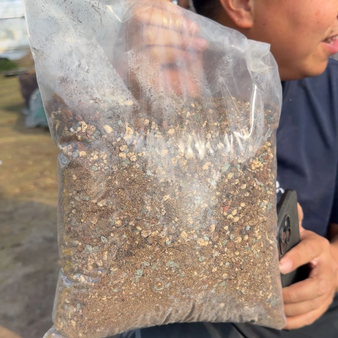 清松颗粒2.4公斤一袋