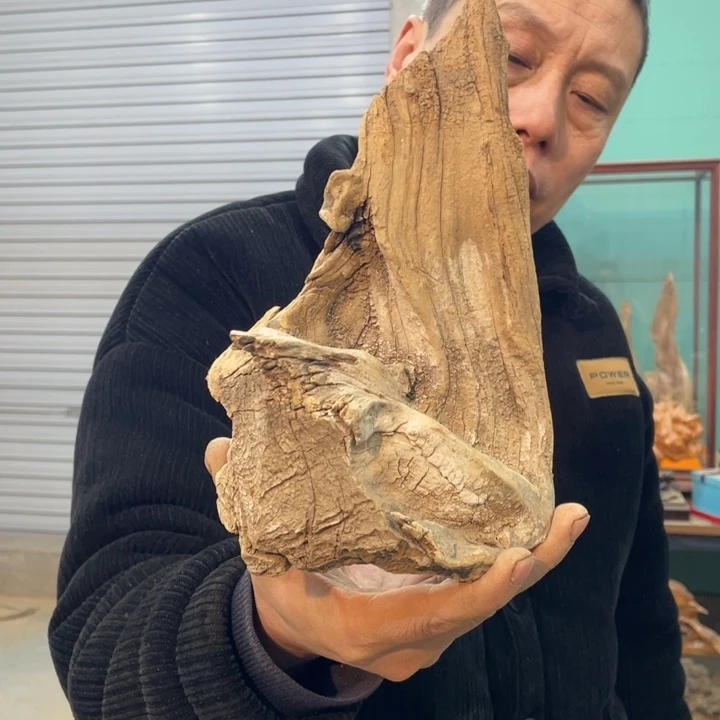 港****务我们都是好孩子呀