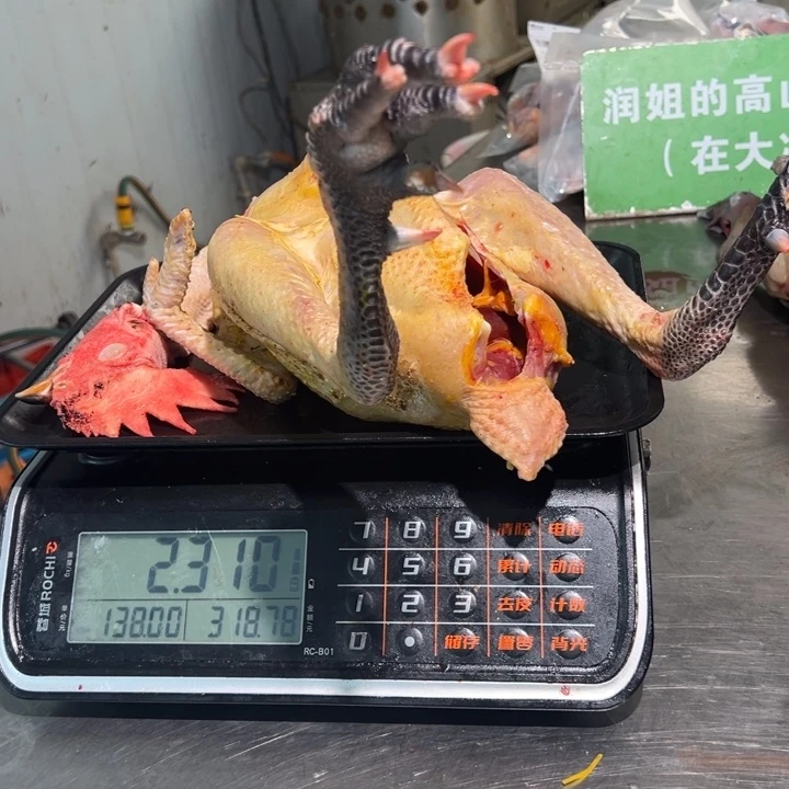 一号公鸡食用农产品中国大陆❄️***
