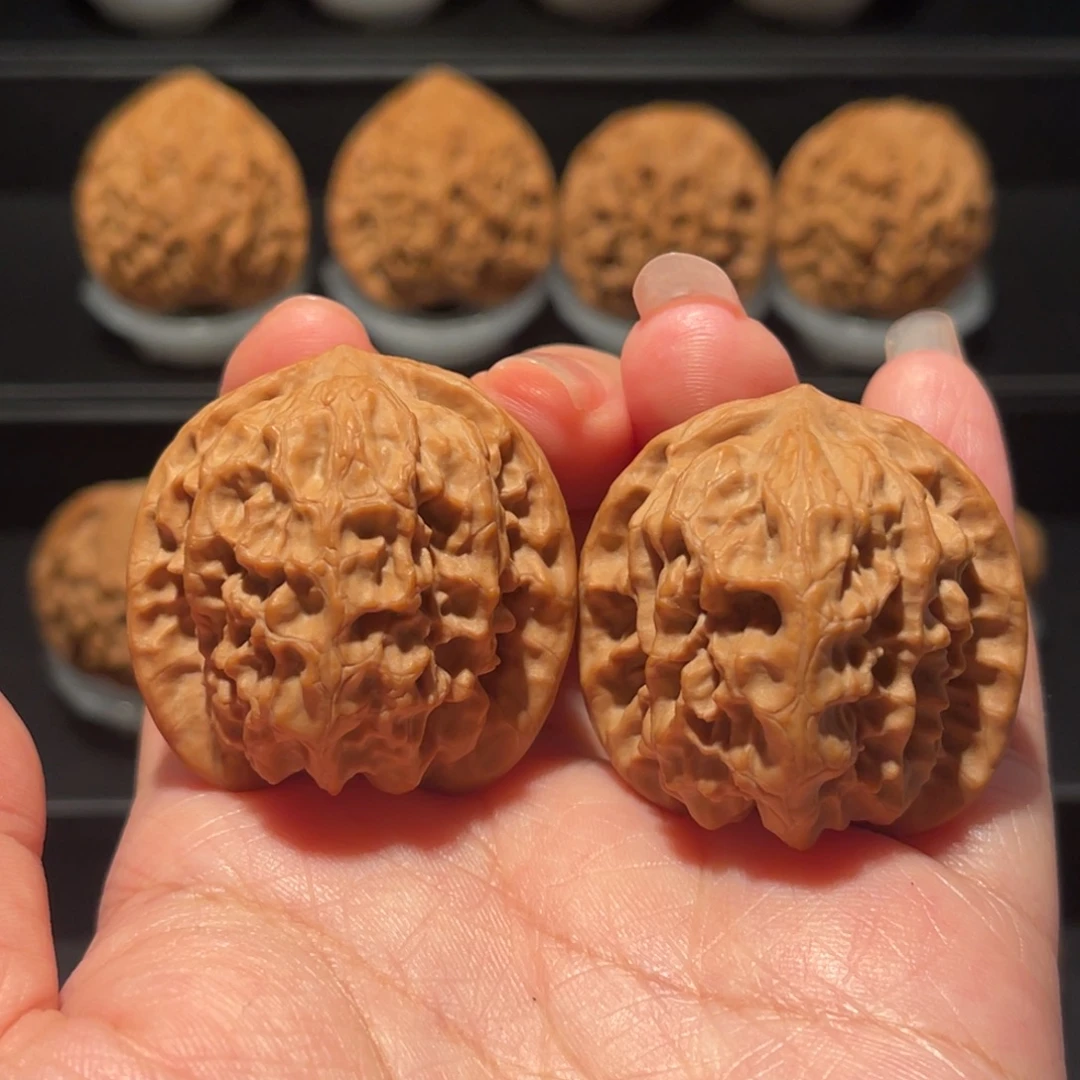 全品，精品，37野狼095