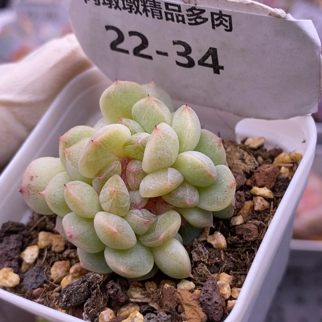 【闪购商品】22-34