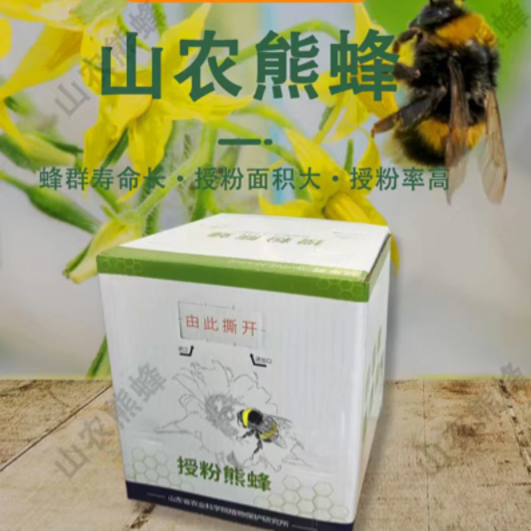 授粉熊蜂作物专用W