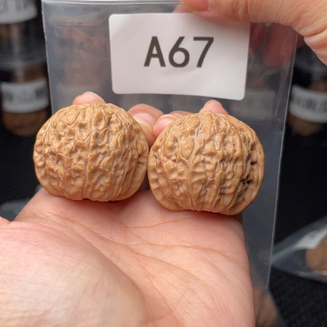 文玩核桃把件全品36乾龙磨