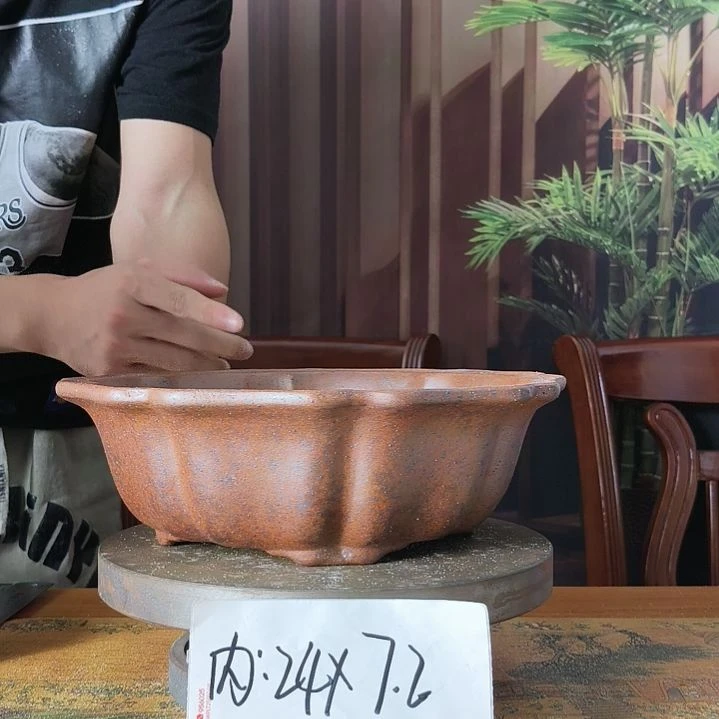 来来来啦咯啦咯啦咯