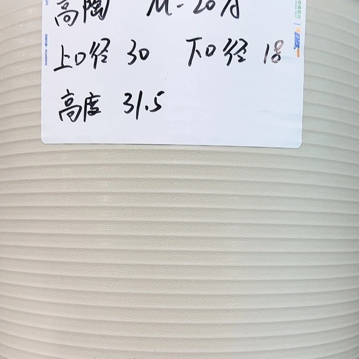 正品高陶口30高31白色3只无托