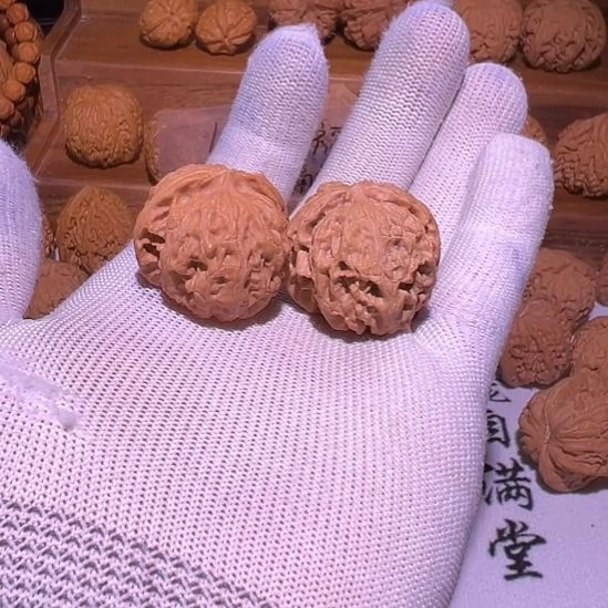 核桃灯牌福利9.9小苹果