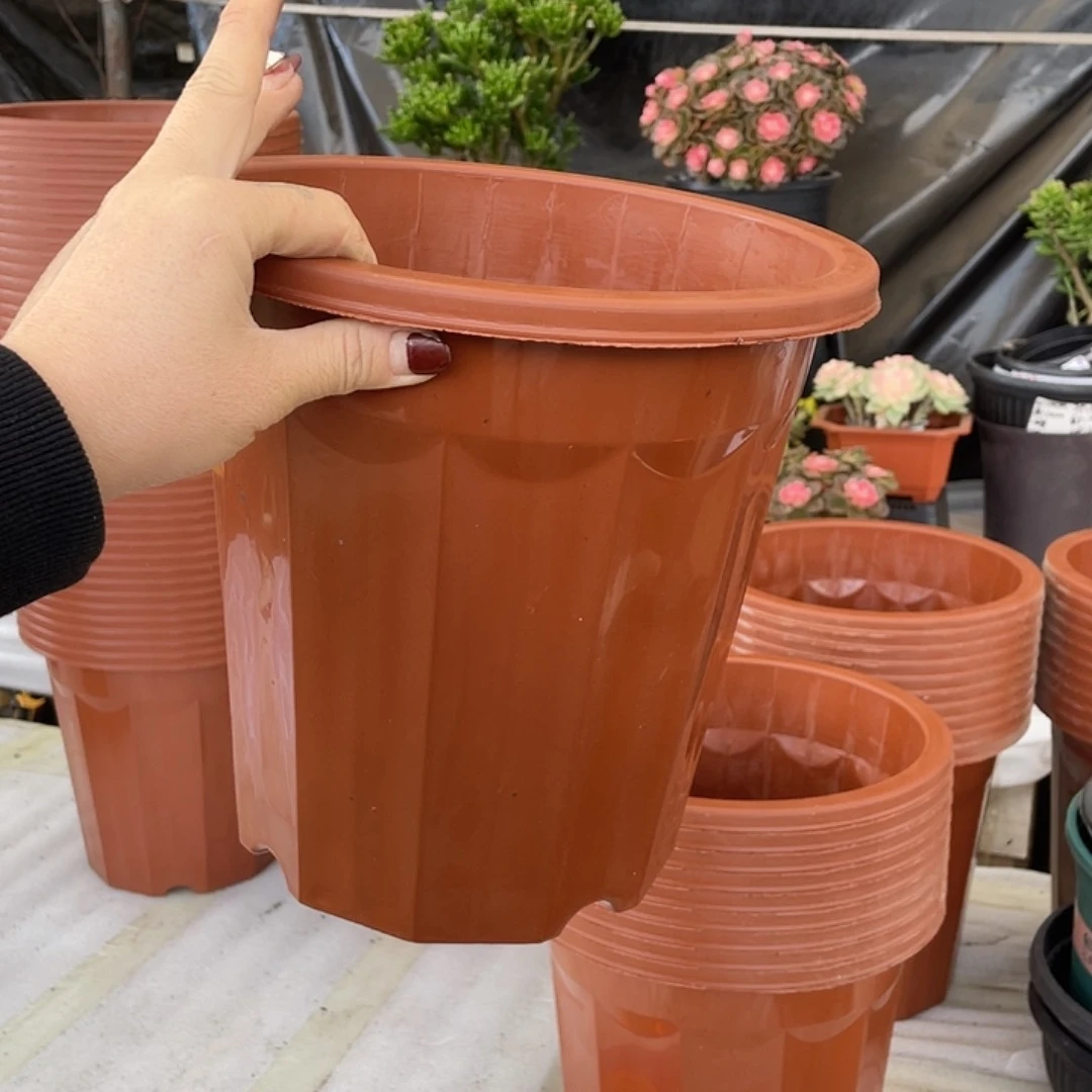 口径25高25红砖盆10个