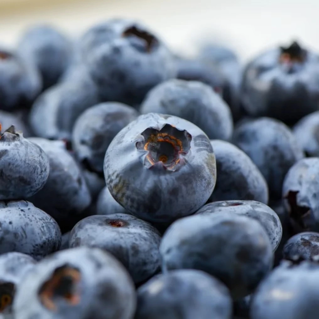 云南蓝莓125g（13-17mm）优瑞卡云南省丽江