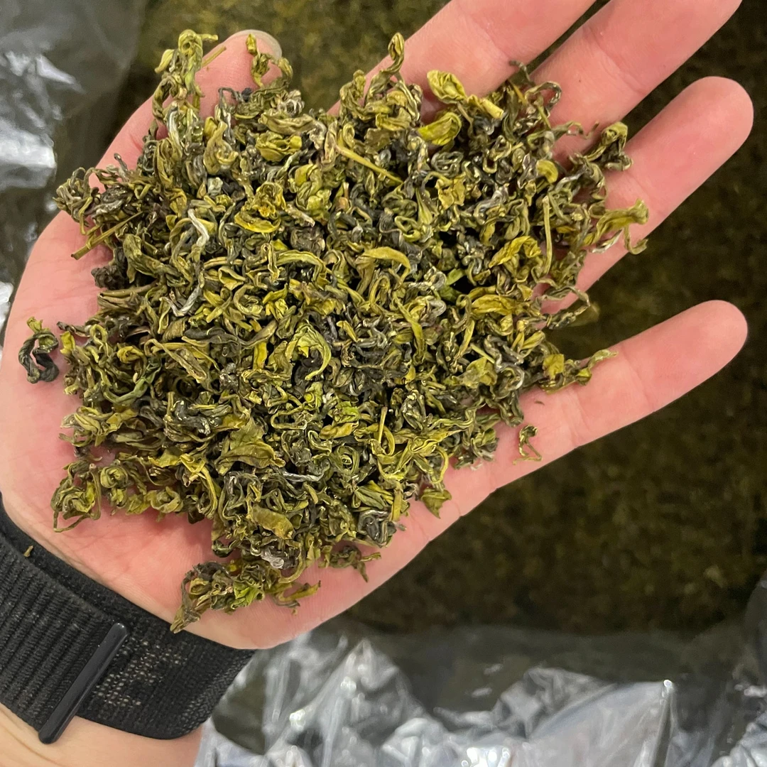 安吉手工高山黄金芽耐泡口感好