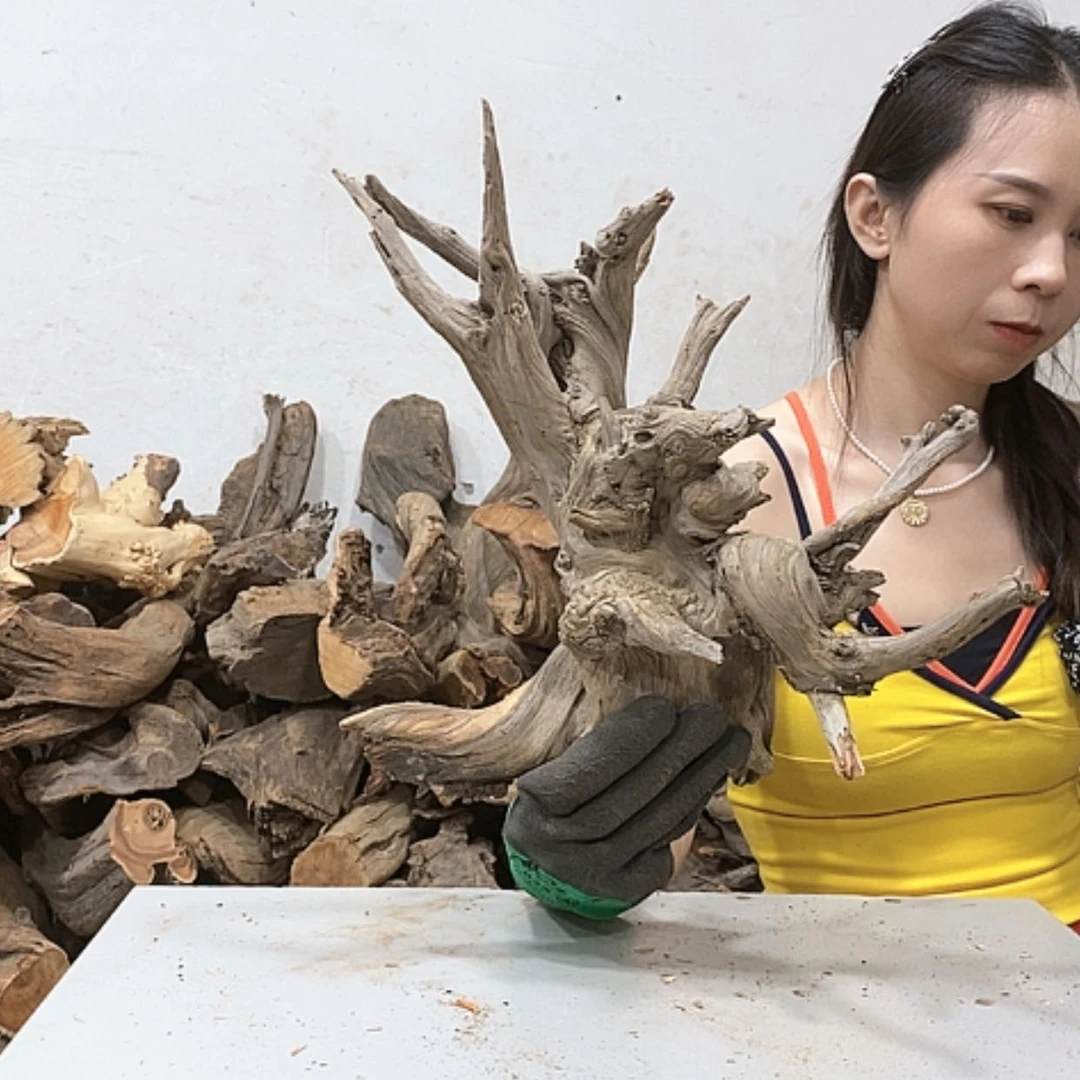 【闪购商品】柏木阿****伏我们都是好孩子