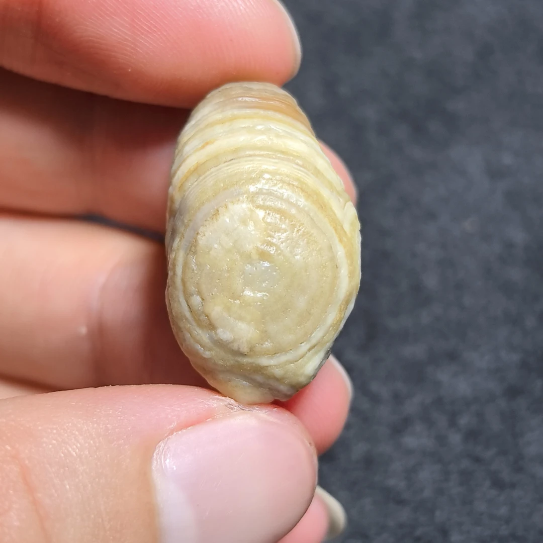戈壁石头把件吊坠，早期地表眼睛石，尺寸：2.8*1.6*1.4