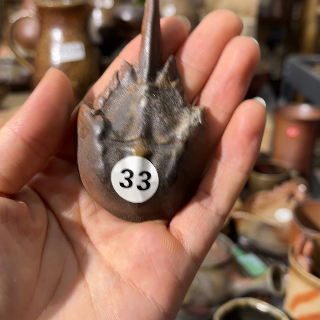 茶具茶具茶具茶具茶具