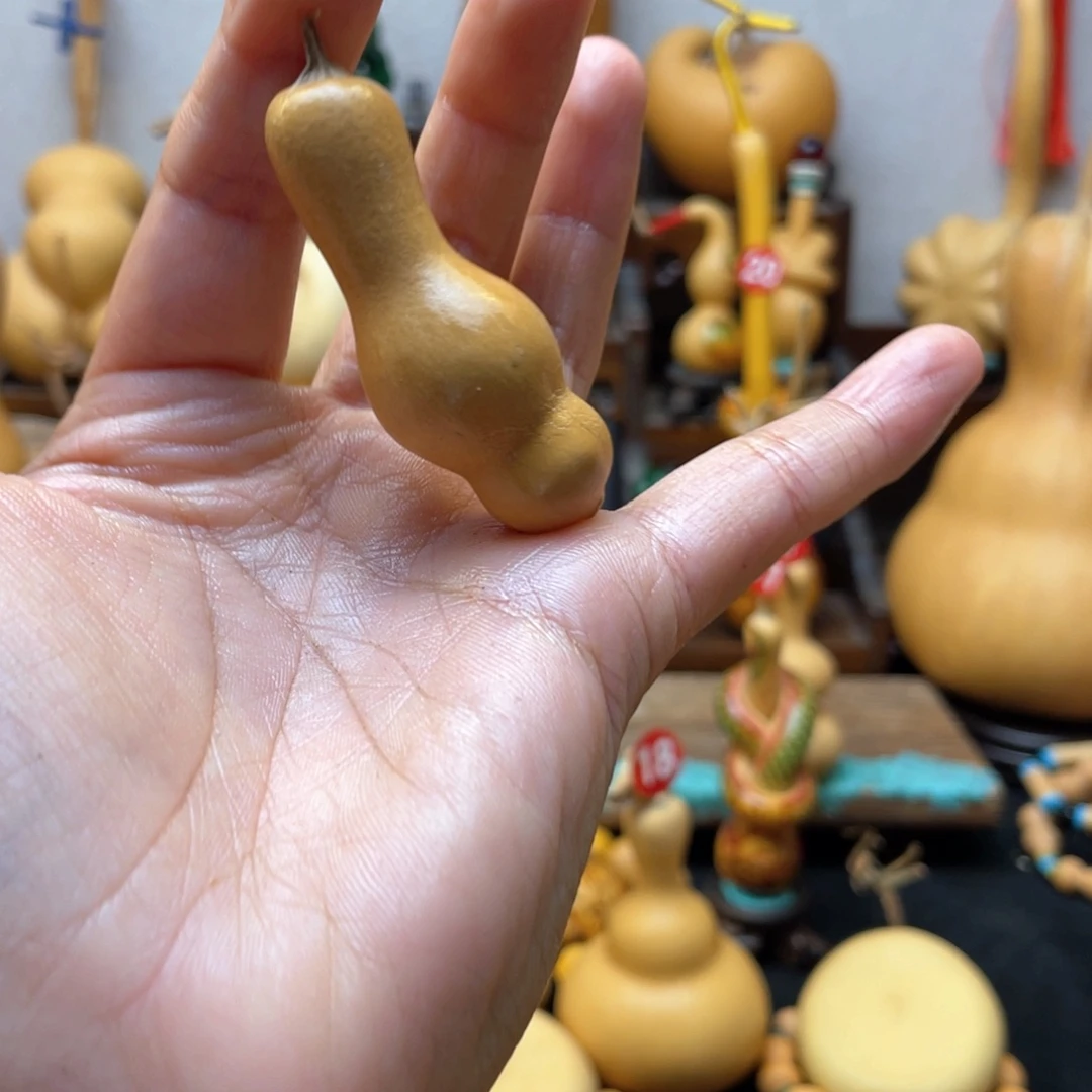 菖*大自然的秘密第十一节的
