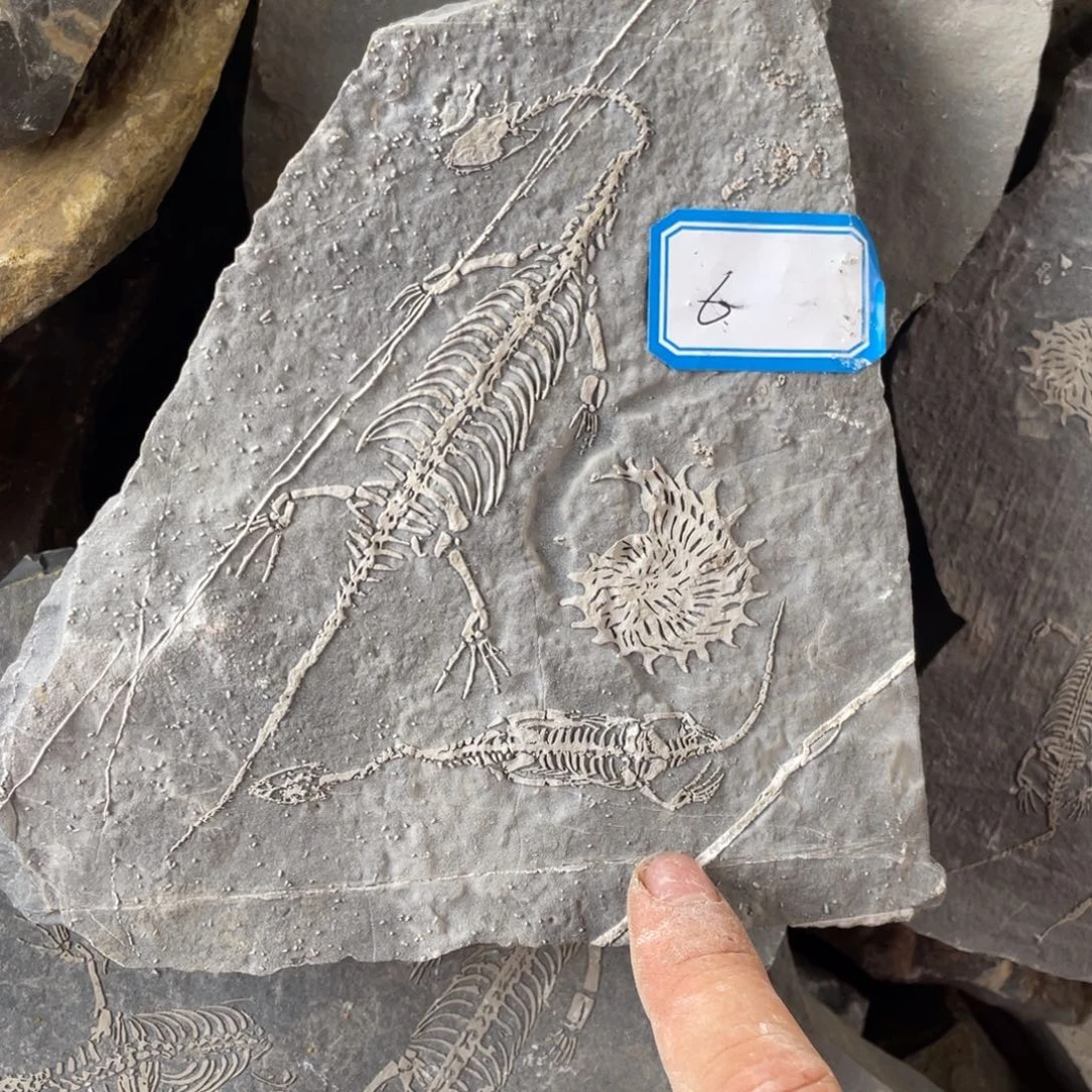 石材66666666666666666