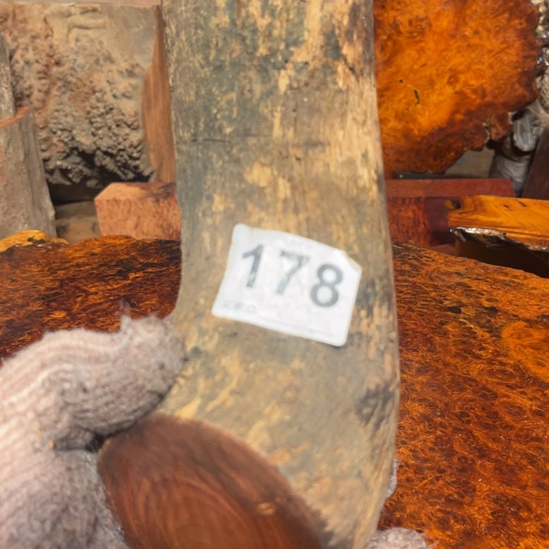 大果紫檀（缅甸花梨）