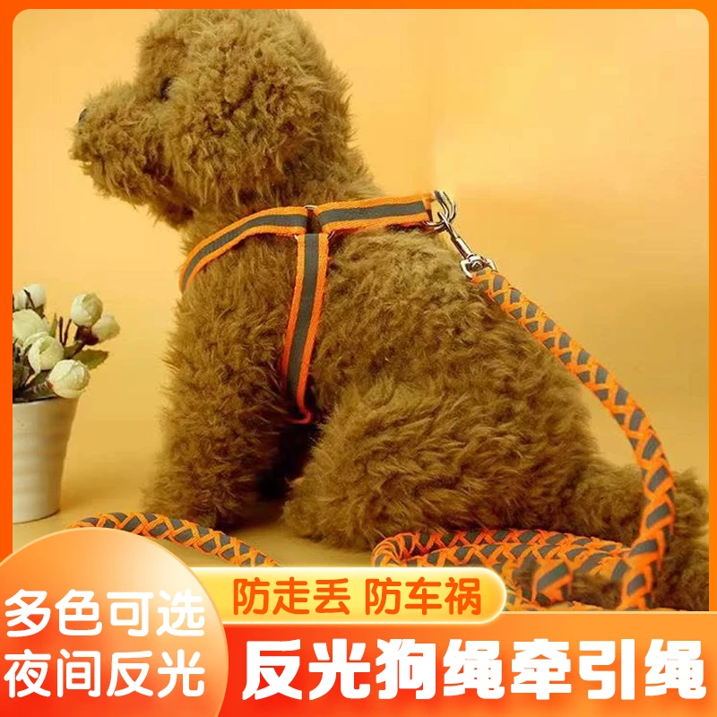 狗绳子牵引绳反光小型犬遛狗链绳胸背带泰迪比熊发光牵引绳防咬