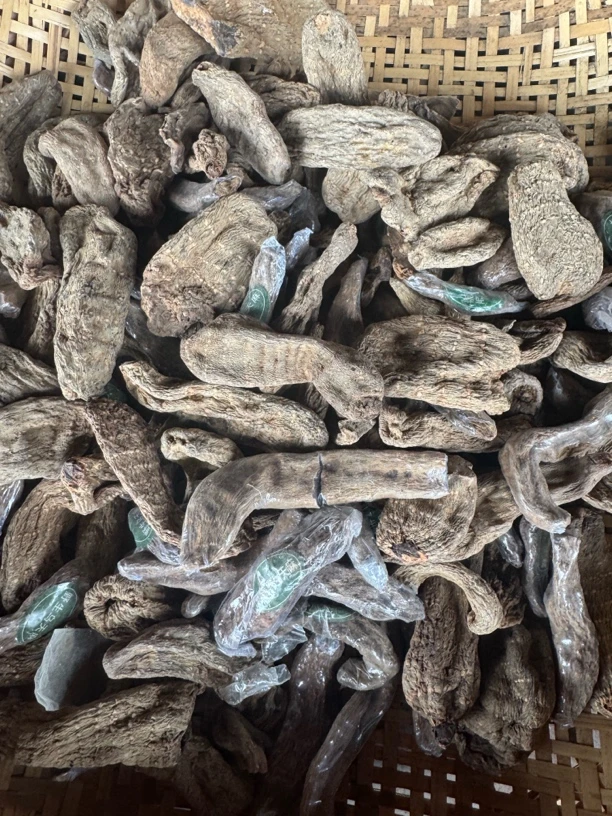 边境山货【乌天麻】