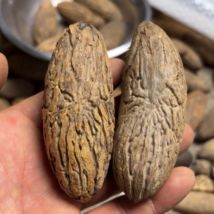 千眼菩提吊坠千眼菩提四十号。