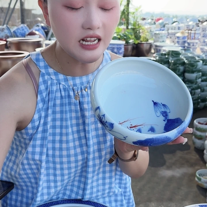 瓷片直径20厘米高6厘米