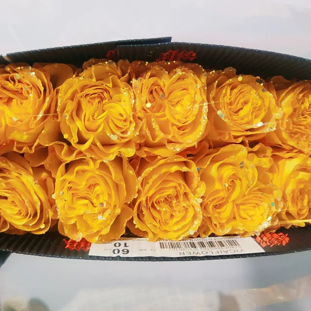 一花一木【 厄瓜多尔色系】可做干花昆明基地直发 顺丰包邮