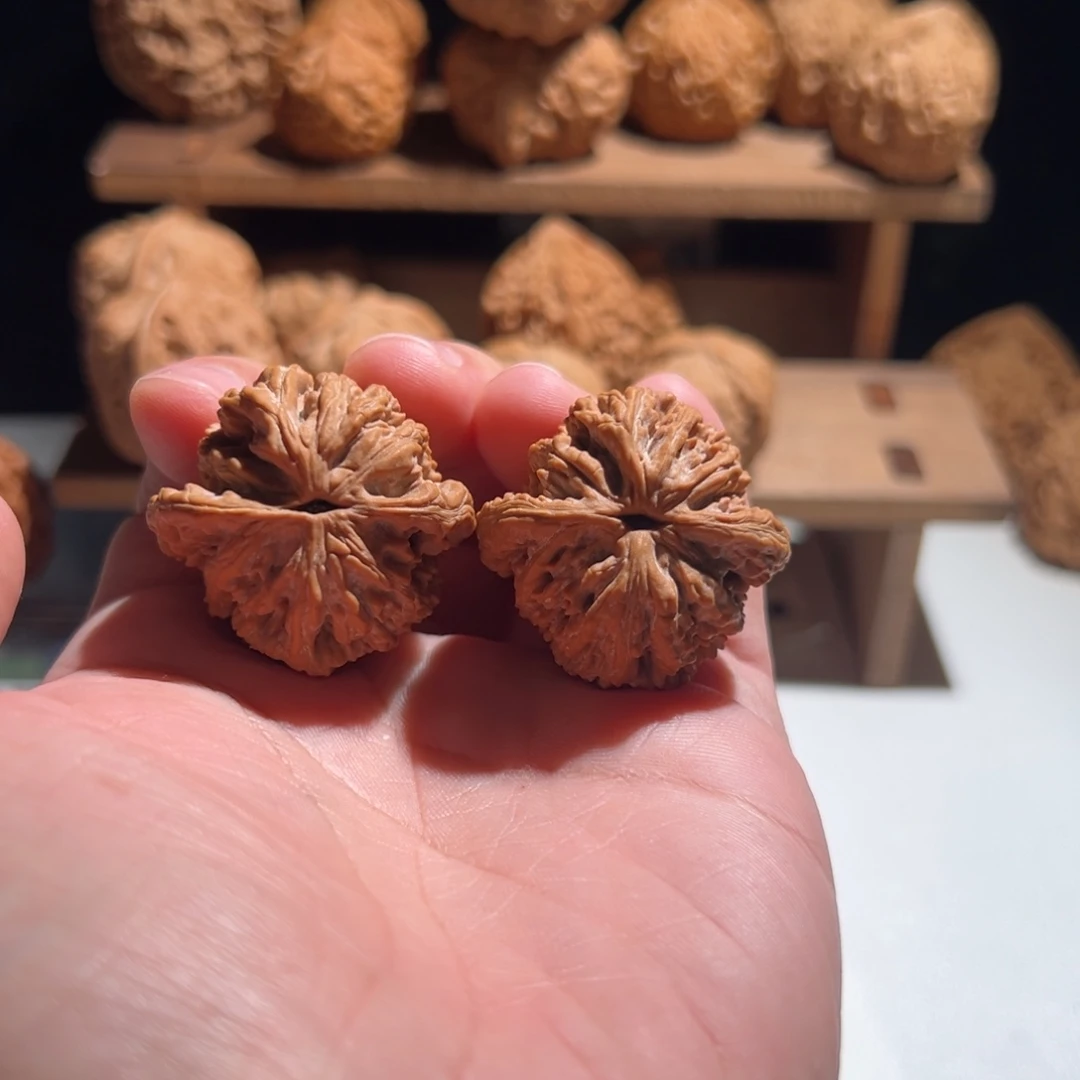 5***i核桃全品无修 35 小虎头 精对
