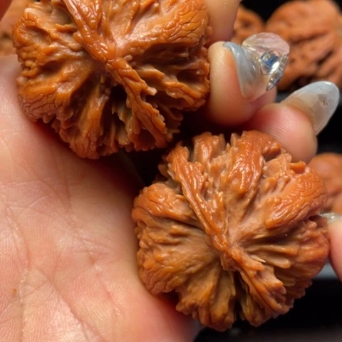 文玩核桃吊坠秦岭山脉核桃