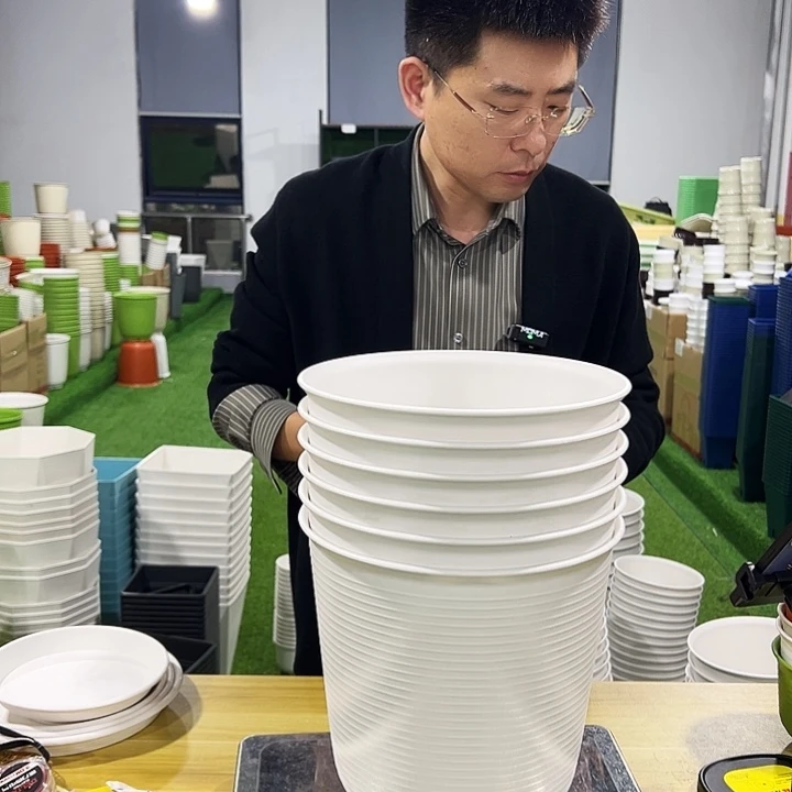 正品高陶口24高24白色5只无托