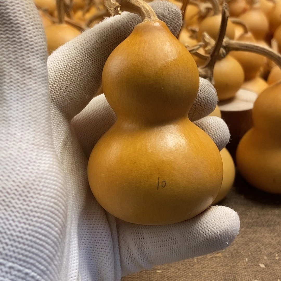 文玩葫芦 完美主义者 慎拍10