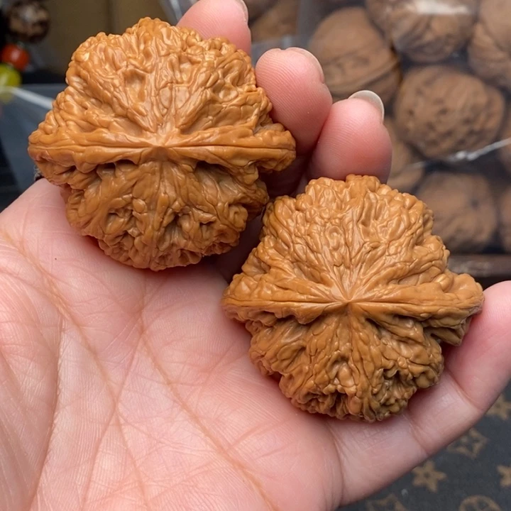 核桃大粗筋48尺核桃