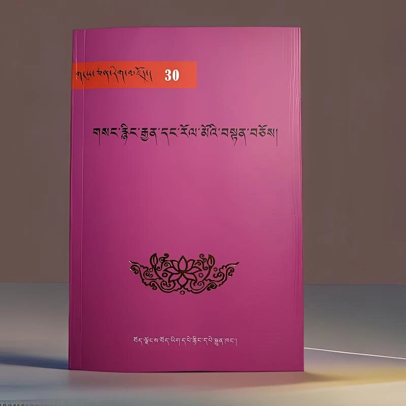 密宗服饰与法器：藏文书籍宗萨仁波切著作藏族书藏文版藏书籍