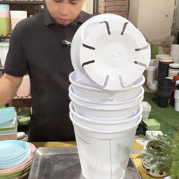 青山口21高21白色6个带托