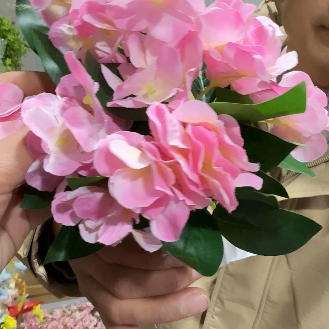 597号粉色花花4盆